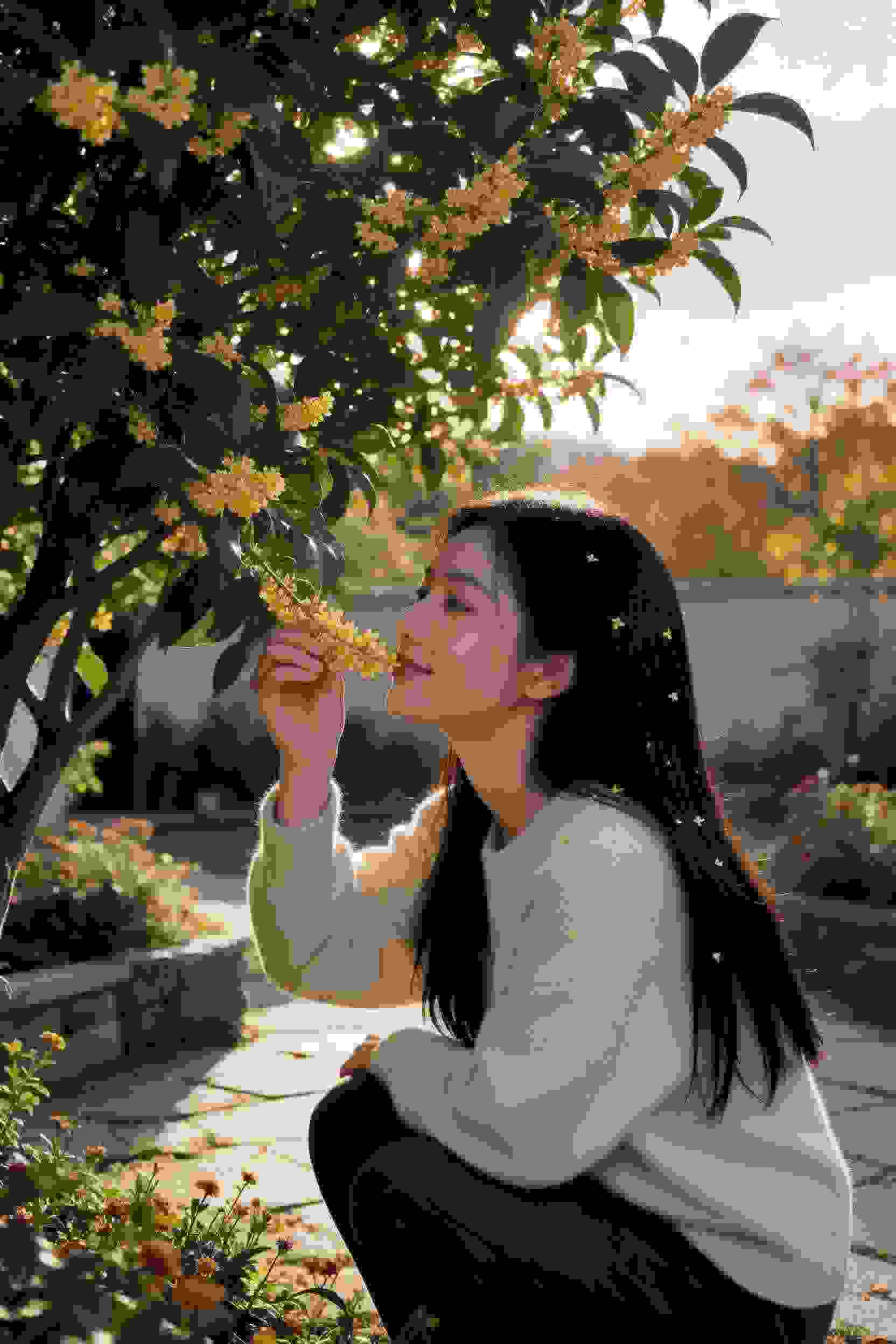 修仙1